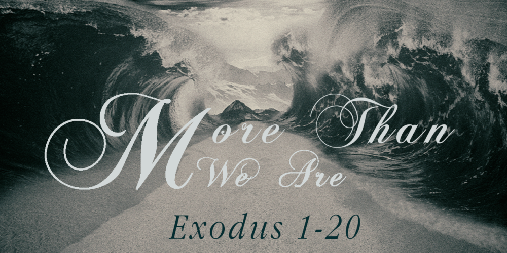 More Than We Are | A Study of Exodus 1-20